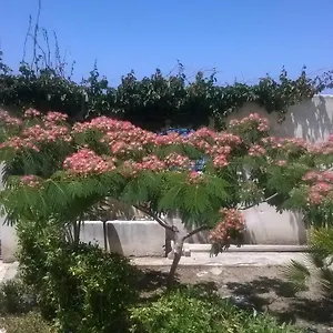 Hébergement de vacances Domus Austri, Messine